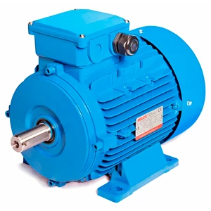 Electric Motor PTM Series 2 Kw