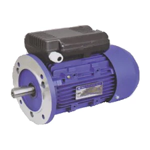 Electric Motor PTM Series 1 Kw