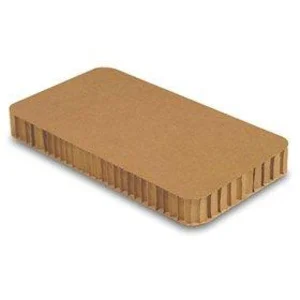 PAPAN KERTAS SARANG LEBAH