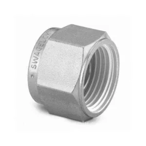 Plug Fitting Swagelok Brass 10 mm Tube Fitting Standard Cleaning SC-10 B-10M0-P