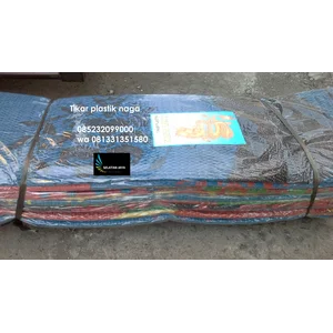 Dragon plastic mat