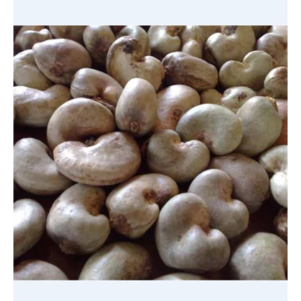 Dari Kacang Mete Raw Cashew Nuts 0