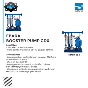 CDX Ebara Well Water Pump