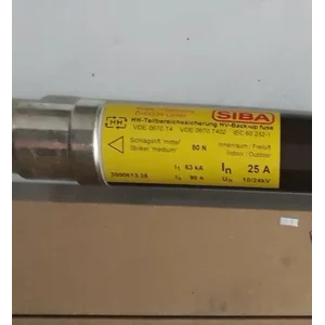 FUSE SIBA 25A 10/24kV  3000613.25