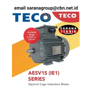 SQUIRREL CAGE INDUCTION MOTOR TECO AESV1S (IE1) PT. SARANA TEKNIK