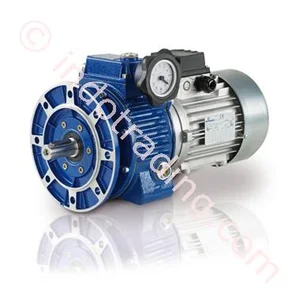 Gear Motor Motovariators Tipe Tkf