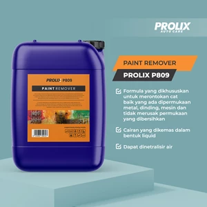 paint removel  prolix p 809