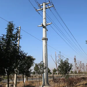 PLN Power Pole 7 Meters Hdg