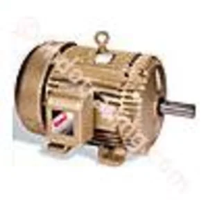 Ac Motor Nema Baldor Premium Efficiency Dinamo