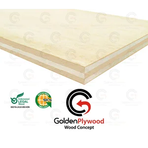 Plywood (Triplek) 9 Mm