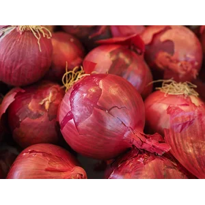 Bawang Bombay Merah New Zealand 60/80