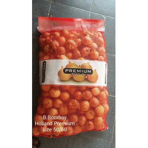 Bawang Bombai Holland "Premium" 50/60