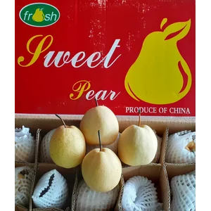 Sweet Pear RRC '' Lucky Star ''
