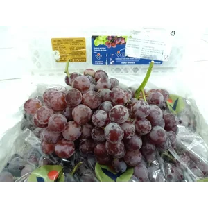 Anggur Red Globe Chilie  Verfrut