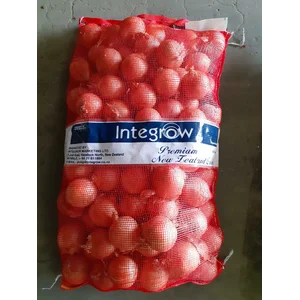 Bawang Bombay New Zealand Intergrow 60/80