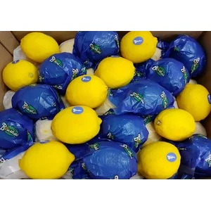 Jeruk Lemon RRC Bonthai