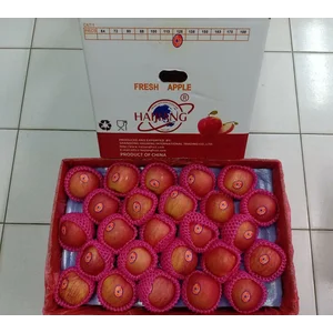 Apel Fuji RRC '' HAIJIANG DRAGON " 