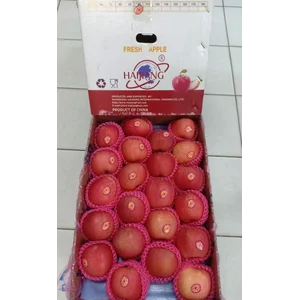 Apel Fuji hajiang Dragon 