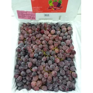 Anggur Red globe Aus ace fresh" red "