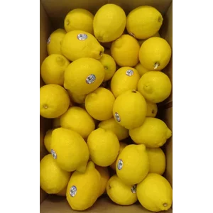 Jeruk Lemon Australia 'SUNKIST '