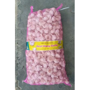 Bawang Putih Kating  4- 5 cm  Best wang 