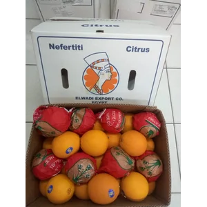 Navel Mesir "Nafertiti"