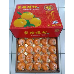 Jeruk Ponkam Premium XU