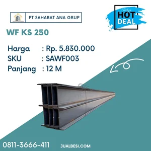 Besi WF KS 250 12 M