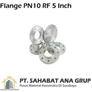 Flange PN10 RF 5 Inch