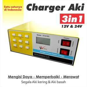 Full Automatic Charger And Repairer Accu / Battery 12V And 24V 
