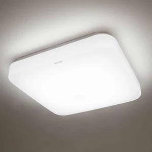 Lampu LED Philips 31110 Ceiling 17W 2700k/6500k