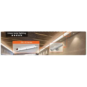 Meanwell LDC-55 Series