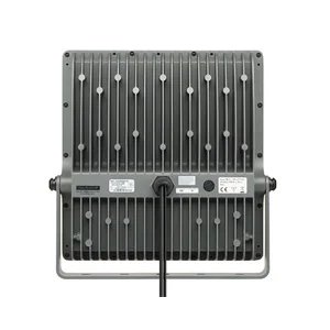 Philips BVP315 Vaya Floodlight 