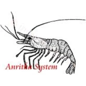 Peralatan Pengolahan Udang