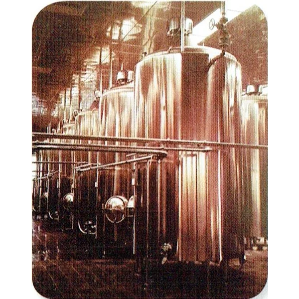 Agitator Storage Mixing Tank