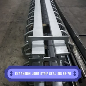 Expansion Joint Strip Seal SIG SS-70