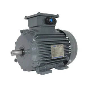 Electric Motor 3 Phase TECO AESV1S (IE1)