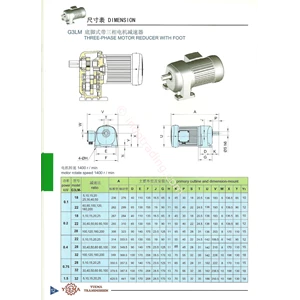 G3lm 3Phase Motor Reducer With Foot