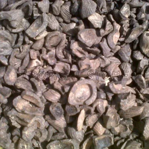 Palm Kernel Shell For Biomass Industry Solar Industri Cangkang Sawit