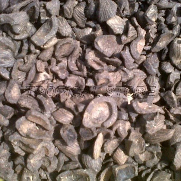Palm Kernel Shell For Biomass Industry Solar Industri Cangkang Sawit