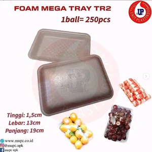 STYROFOAM MEGA TRAY 2 / FOAM TR 2 / FOAM DAGING