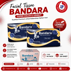 Bandara Premium Facial Tissue Ultra Soft & Absorbent Face Wipes 250 Sheets