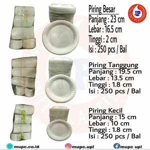 Kotak Makan Styrofoam Gps / Gosyen Polos Dan Sekat / foam