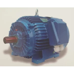 AC Motor Elektrim Cantoni Polandia 