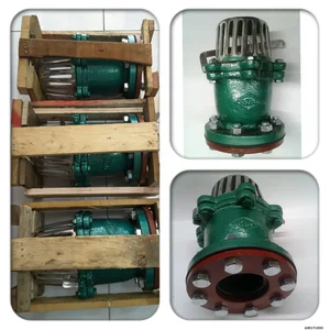 FOOT VALVE MIZU JIS 10 K