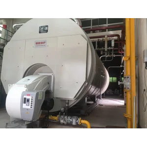 Wns Gas (oil) Fired Steam Boiler/Hot-Water Boiler