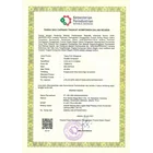 Tiang Lampu PJU 6 Meter Lengan Ganda Parabola Tiang Lampu Jalan 6 Meter Double Ornamen 5