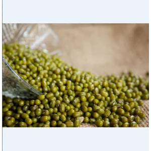 Kacang Hijau Toge Lokal