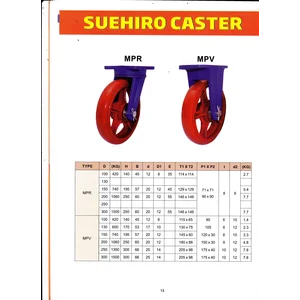 Castor Super Heavy Duty