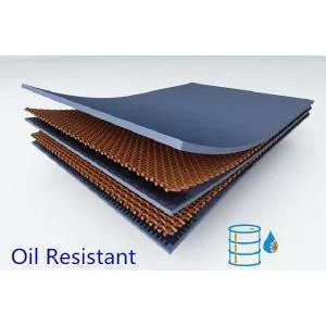 Oil Resistant Conveyor Belt